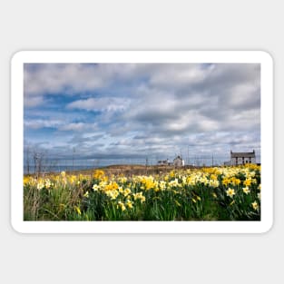 Springtime at Seaton Sluice Sticker